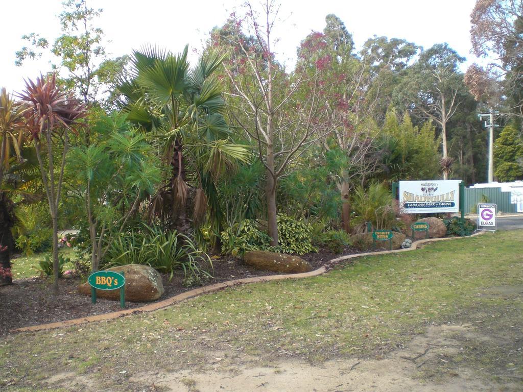 Mallacoota'S Shady Gully Caravan Park Екстериор снимка
