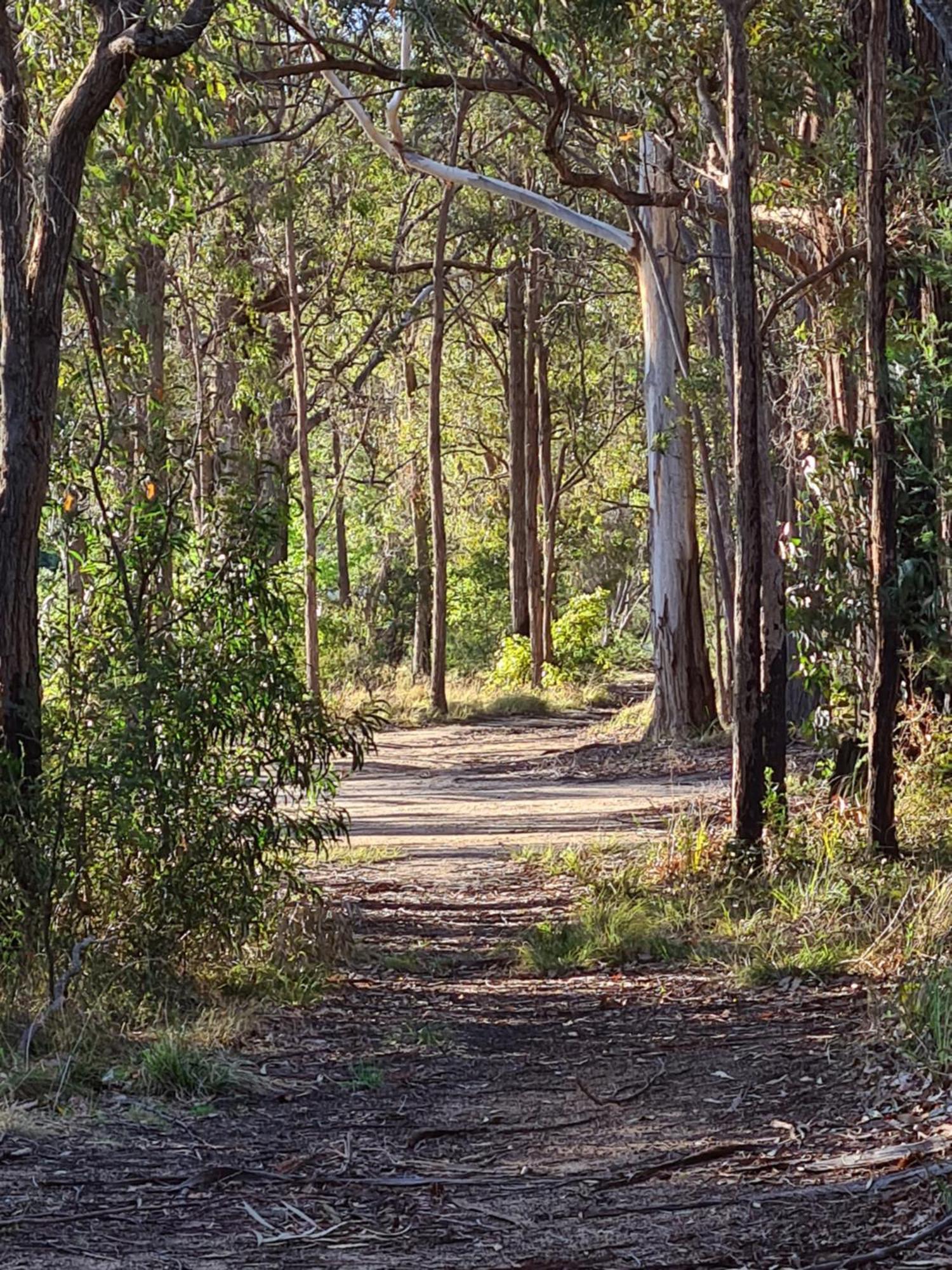 Mallacoota'S Shady Gully Caravan Park Екстериор снимка