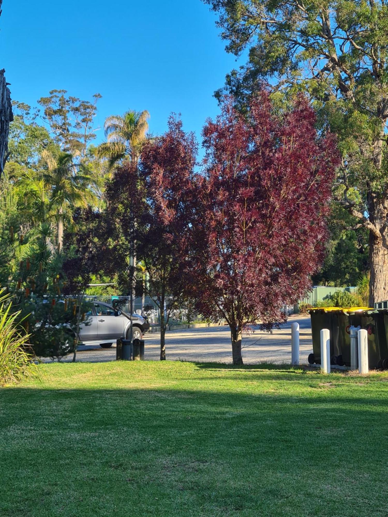 Mallacoota'S Shady Gully Caravan Park Екстериор снимка